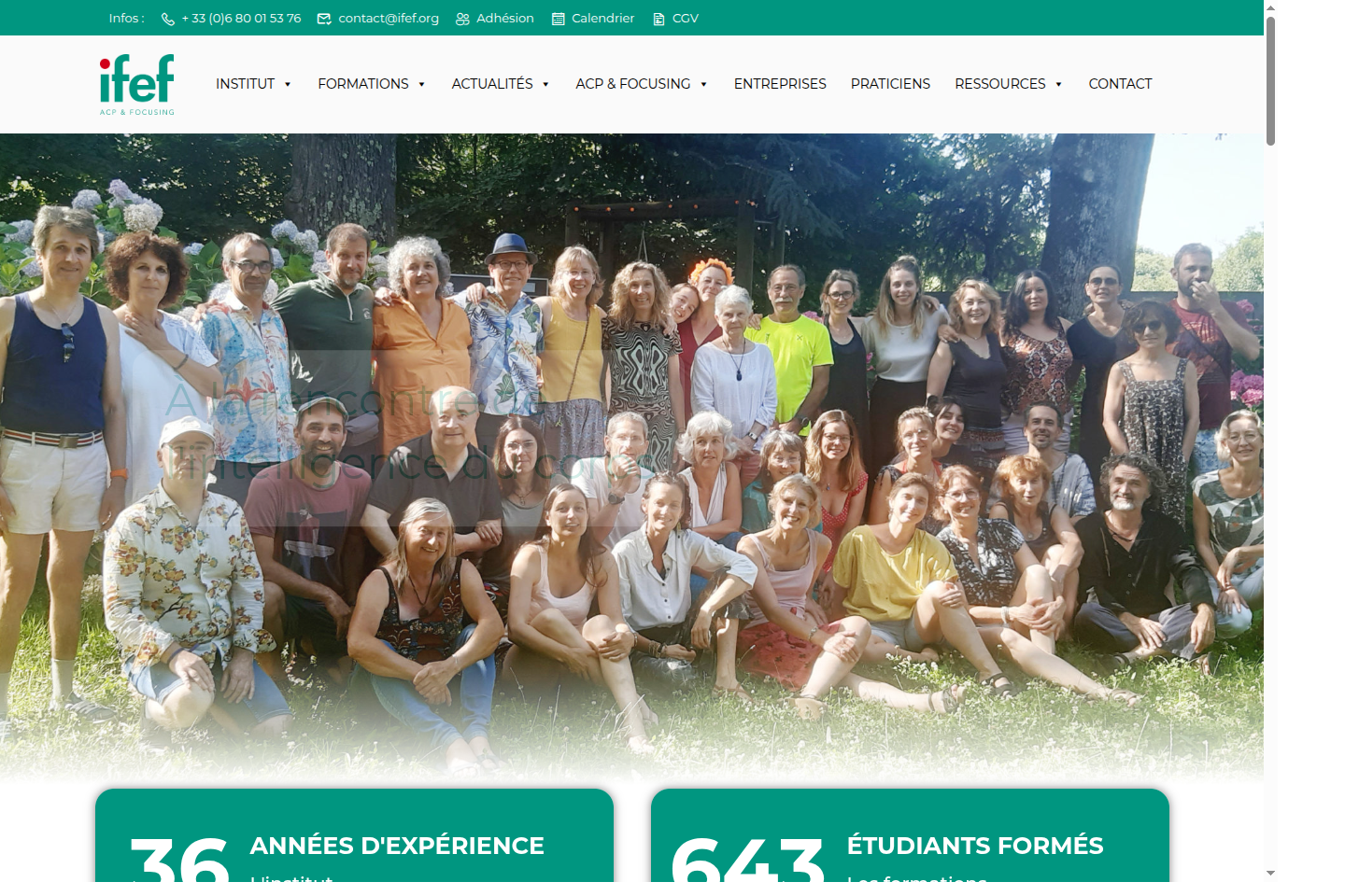 Capture d'écran du site ifef.org